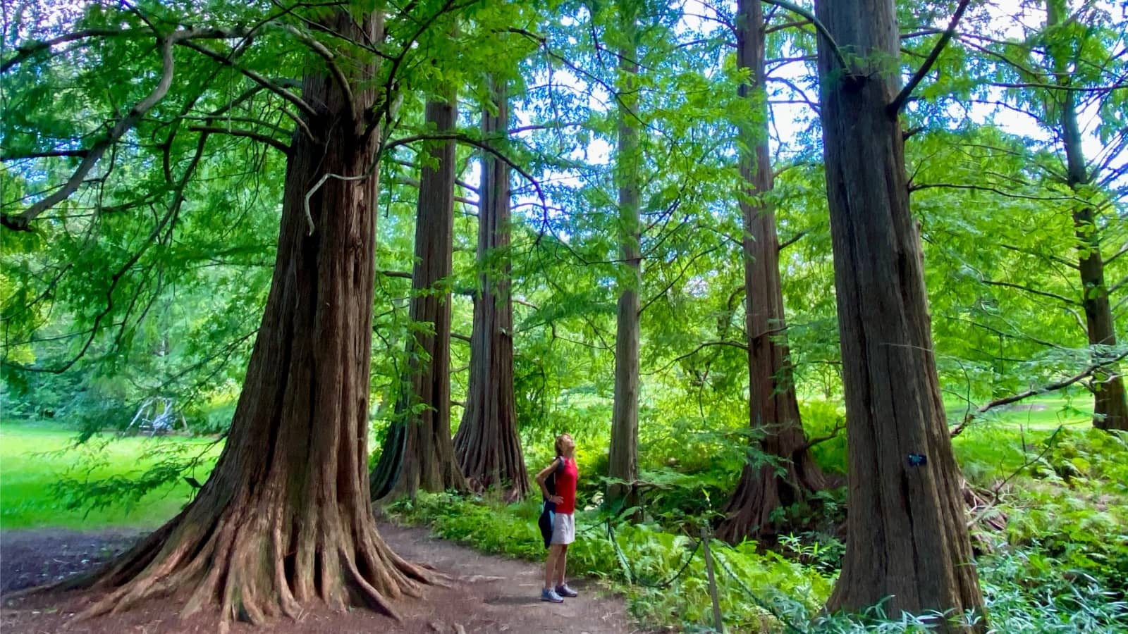 Morris Arboretum and Gardens Scarecrow Photo Walk