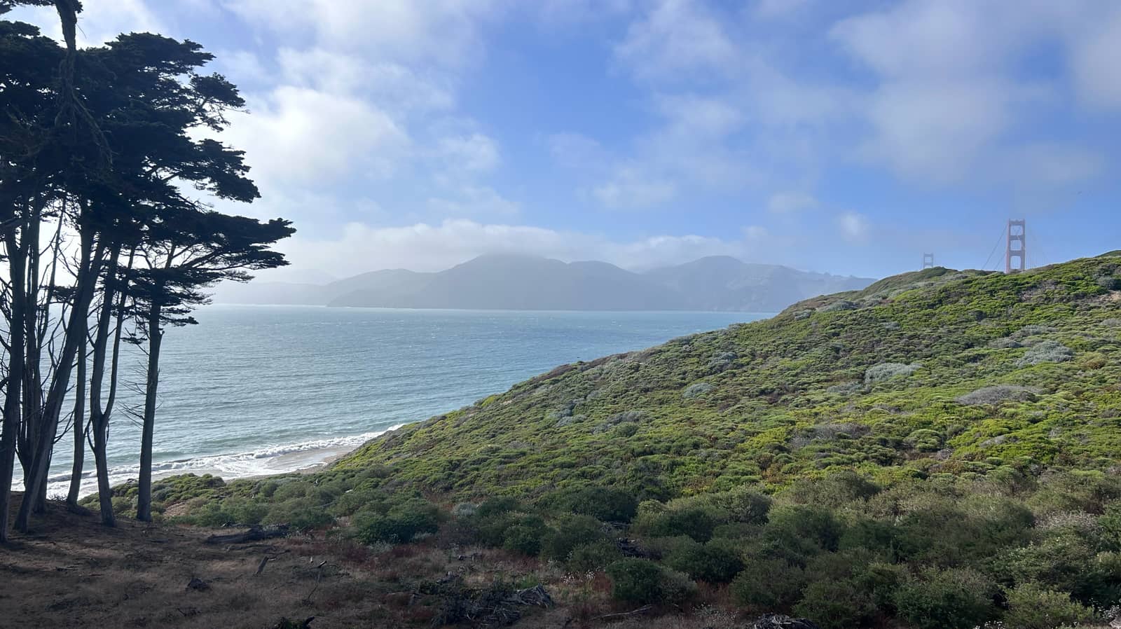 Thursday Nature Walk - Lobos Valley Overlook (Presidio)