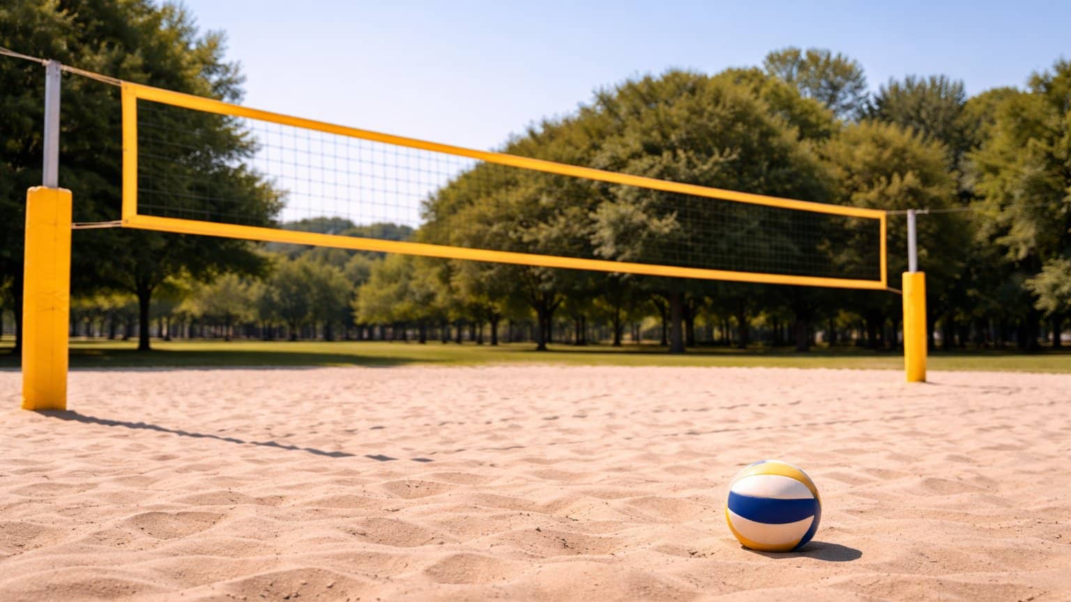 Grass Volleyball (beginner friendly)