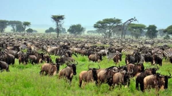 14 DAYS SOUTH AFRICA WITH ROBBEN ISLAND & VICTORIA FALLS- SOLD OUT