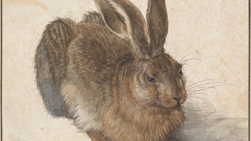 250 Jahre Albertina: Gemeinsamer Ausstellungsbesuch