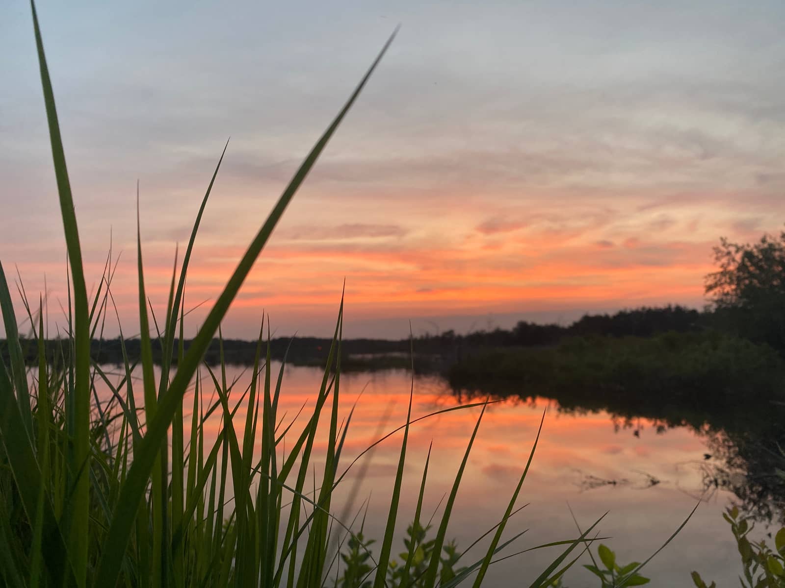 Moorestown Walks (Thursday)