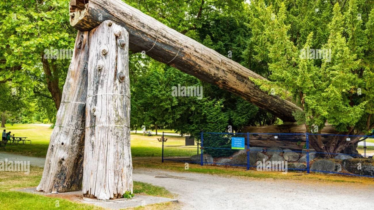 Bike Ride - Burnaby Lake / Stanley Park - 48129663