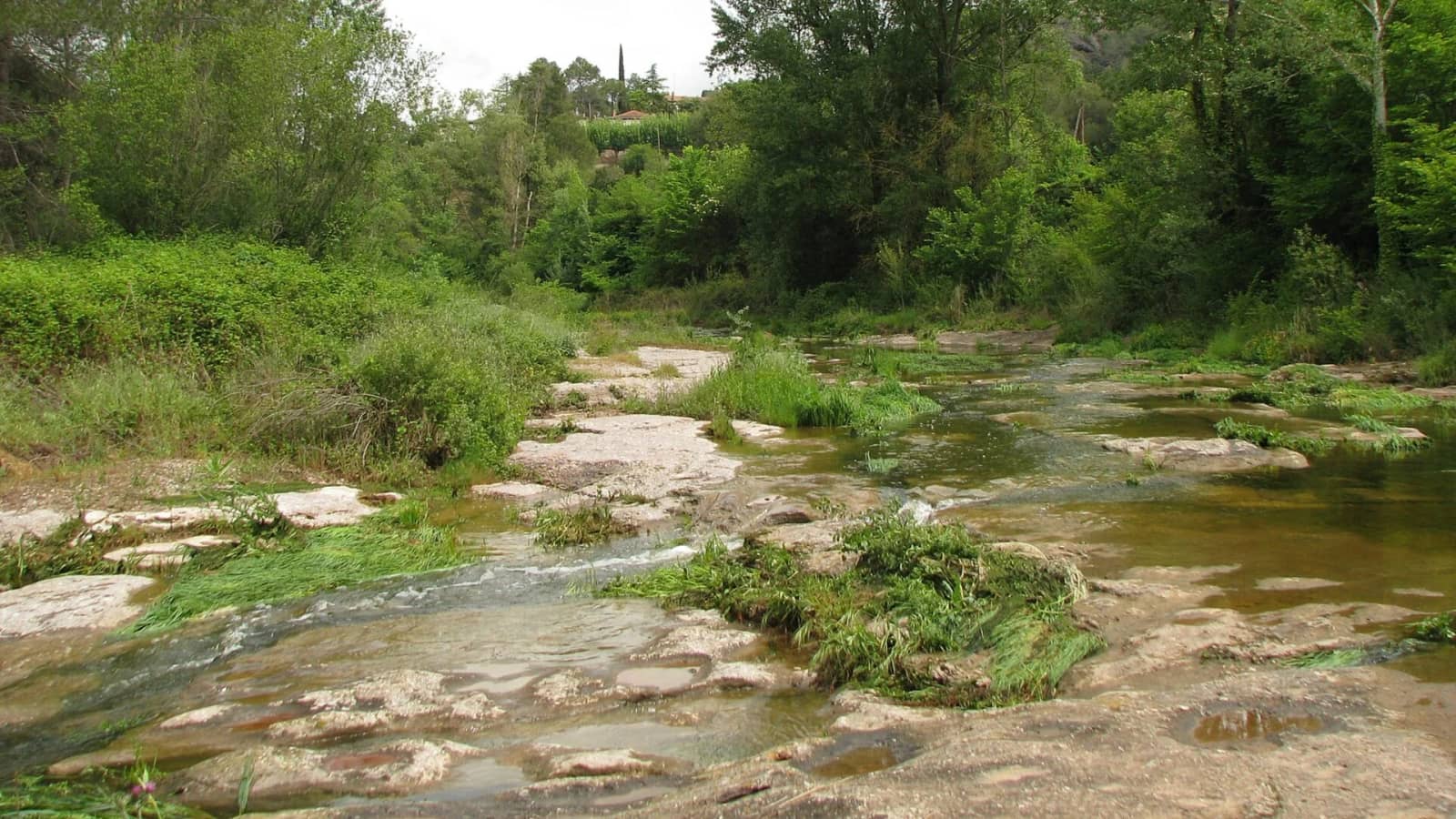 Bonita ruta por el Rio Ripoll (en el Vàlles). 14km 350m