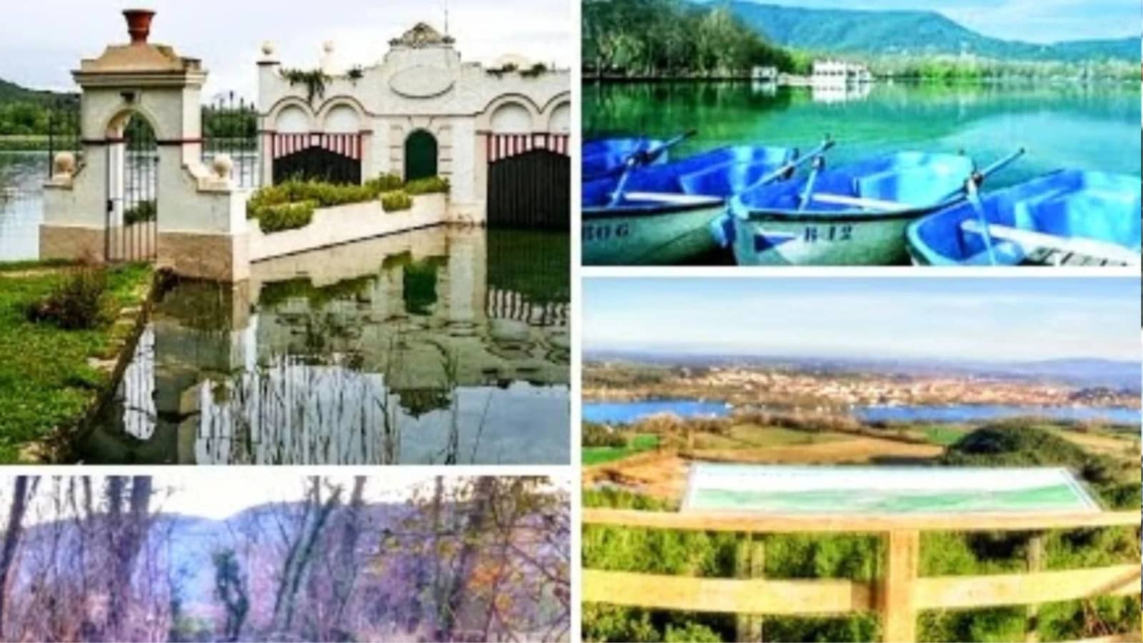 🌾SUBIDA AL PUIG CLARA 🍃 BOSQUE DE LES ESTUNES