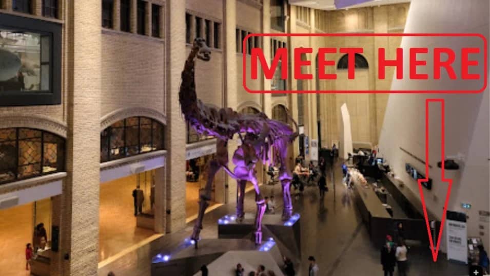 ROM Museum group walking tour ($10)