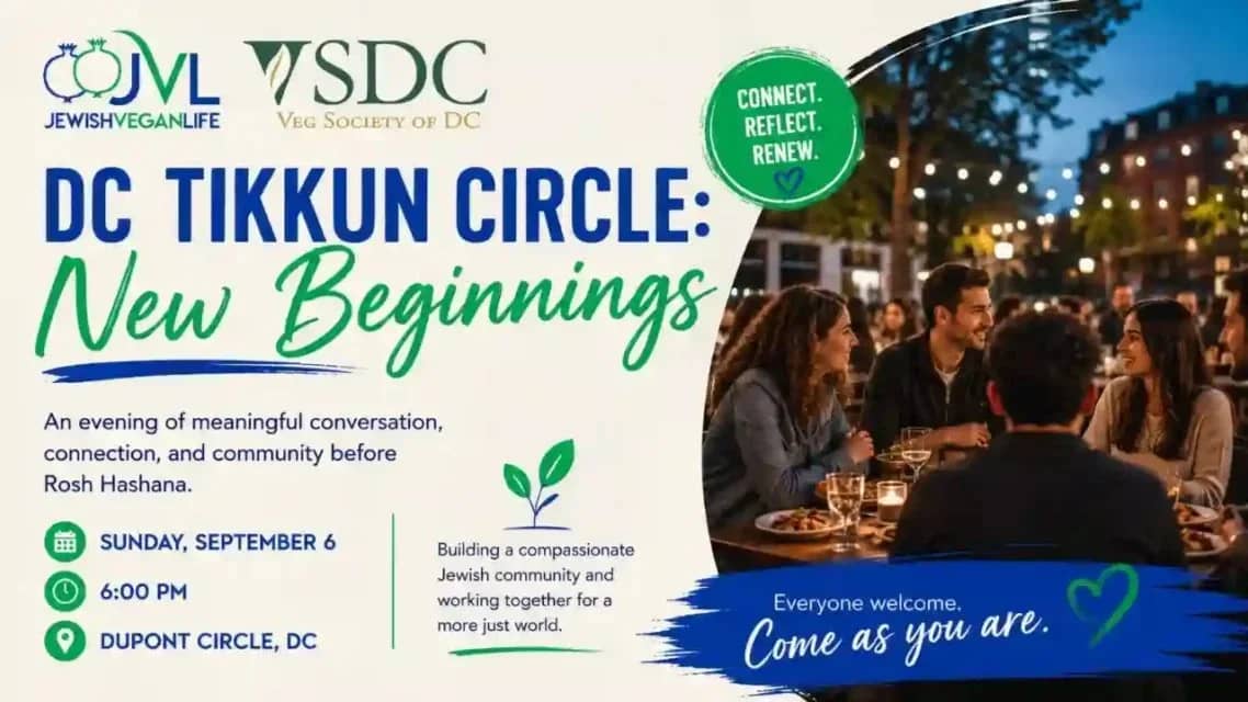 VSDC Joins Jewish Vegan Life for Dinner