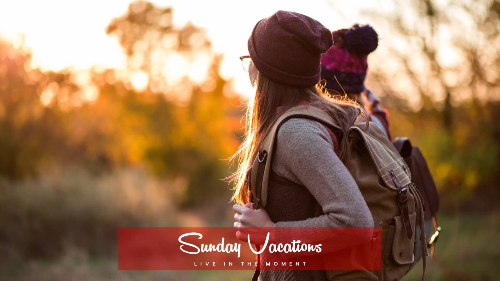🌿 Bulskampveld Forest Escape | Nature Hike & New Connections (9.3 km)