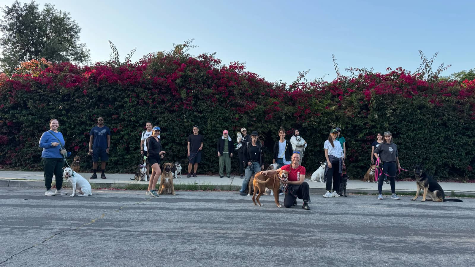North Hollywood/Valley Village Park: Pack Walk *check time*