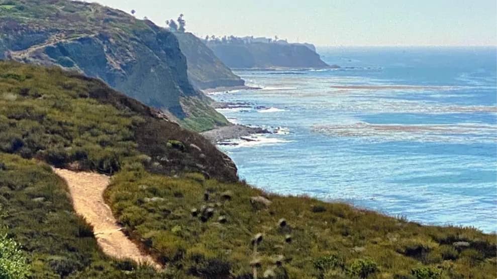 Nature Walk at Abalone Cove Reserve