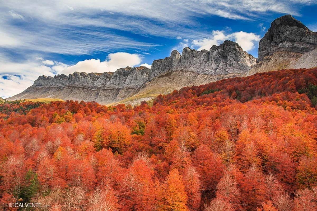 Otoño en la Selva de Oza y Montes Alanos: Pirineos