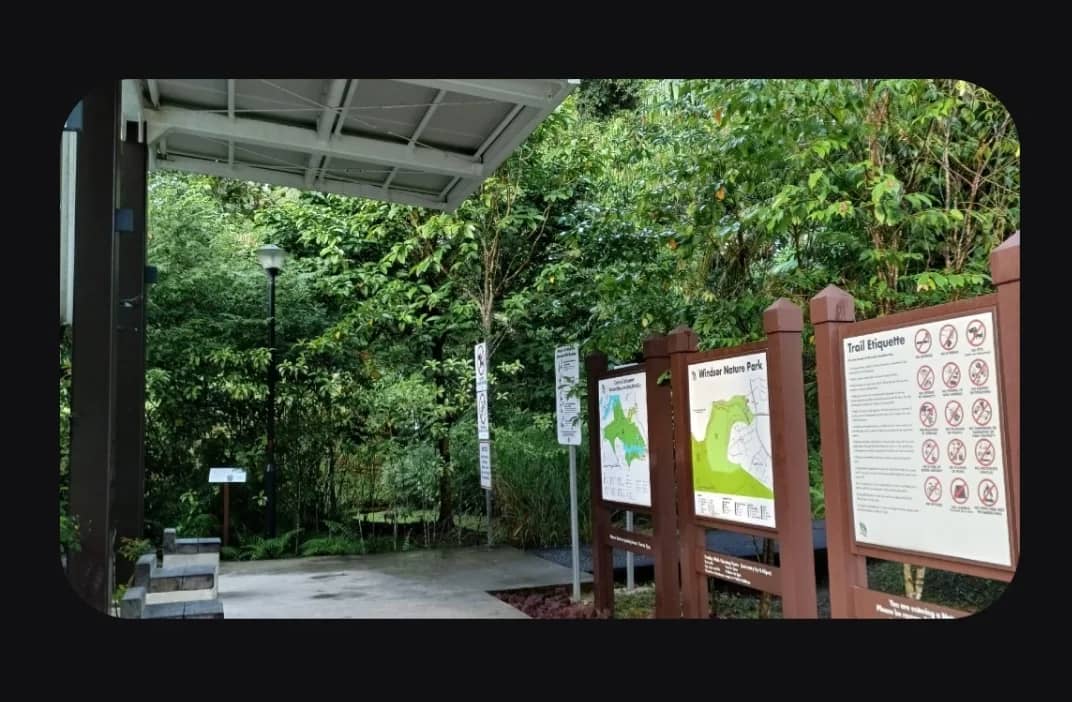 Windsor Nature Park - Tree Top Walk