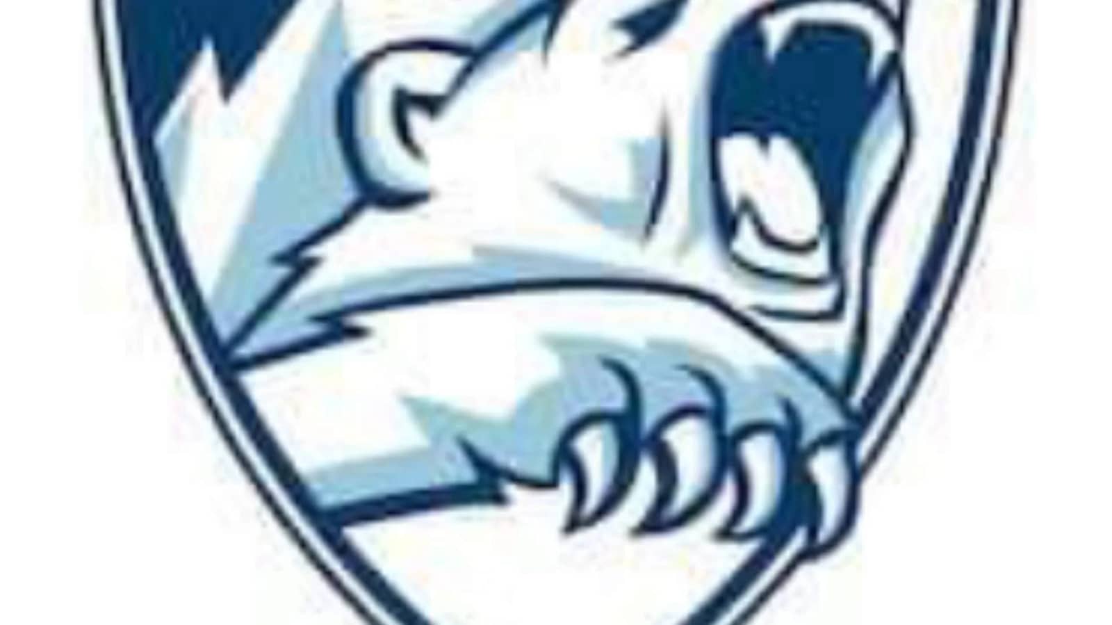 Polar Bear presents Summer Softball