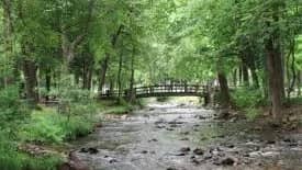 Hike: Calvert Cliffs State Park and Battlecreek Cypress Swamp, MD