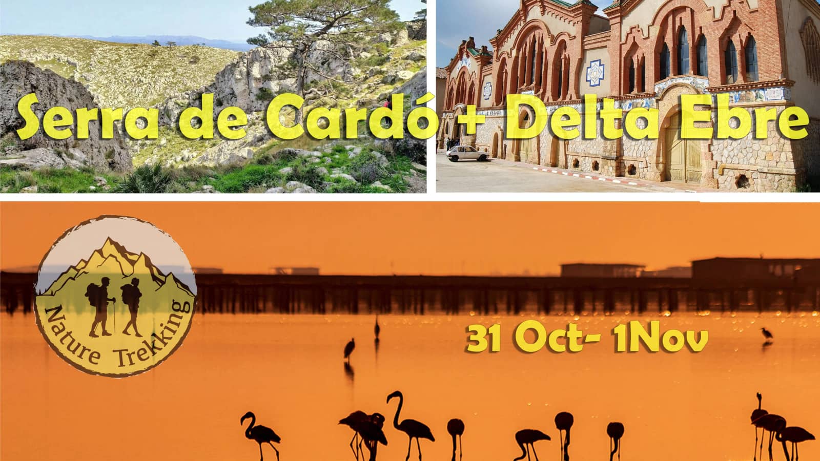⛰️Finde Terres de l'Ebre: Serra Cardó, enoturisme 🍷 paseo por el Delta l'Ebre🥘