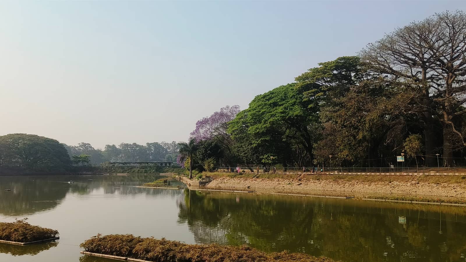 Lalbagh Gardens