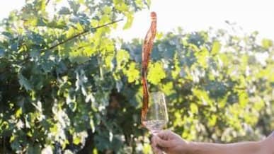 (Prepaid Event) Napa and Sonoma Premium Small Group Wine Tour from SF