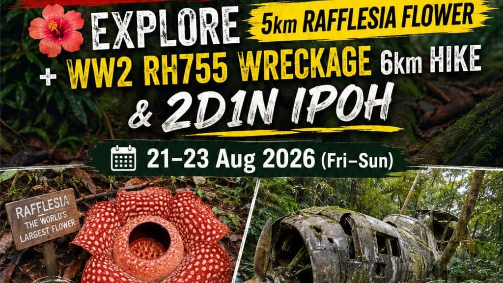 ✅[CONFIRMED] Rafflesia Flower 5km + WW2 RH755 Wreckage 6km Hike + 2D1N@Ipoh
