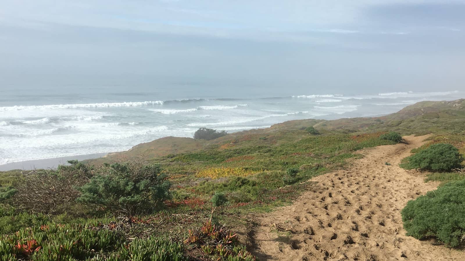 Fort Funston / Lake Merced Hike (Dogs Very Welcome)