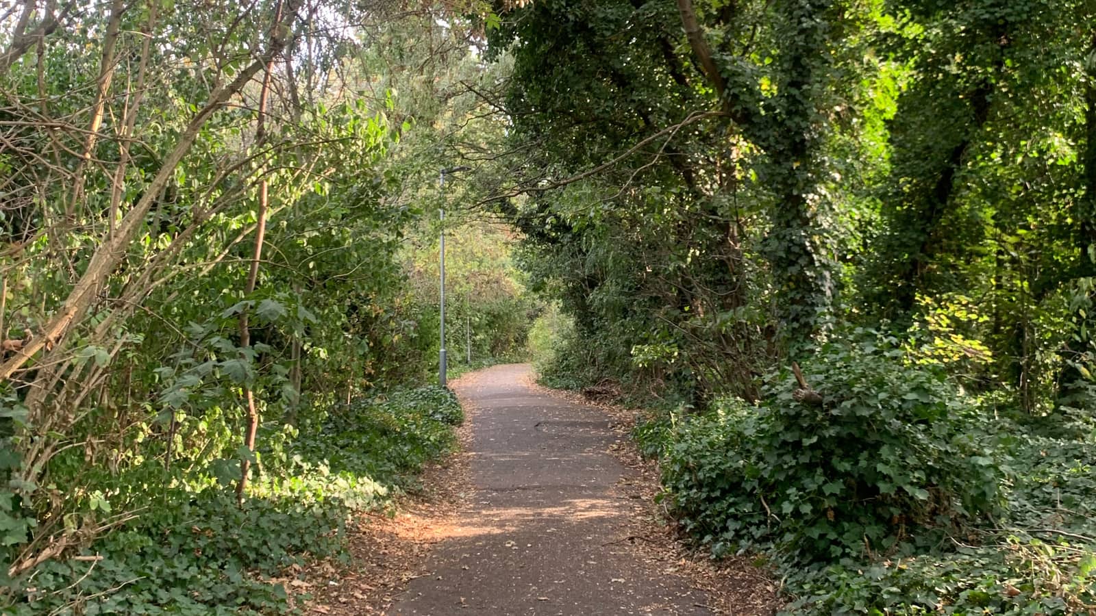 London Society HIKE - Hackney Wick to Beckton