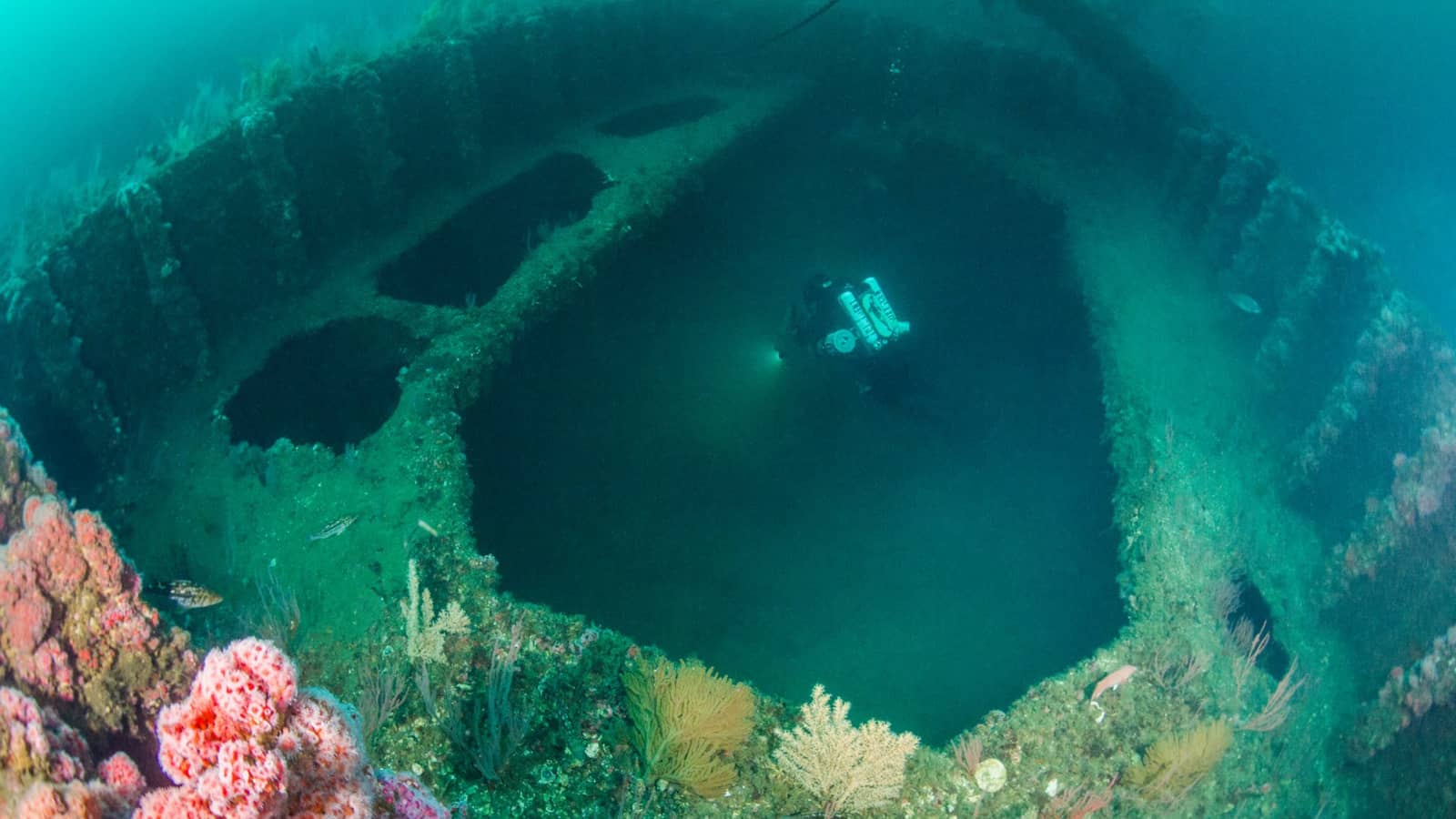Palawan Wreck (Advanced OW)