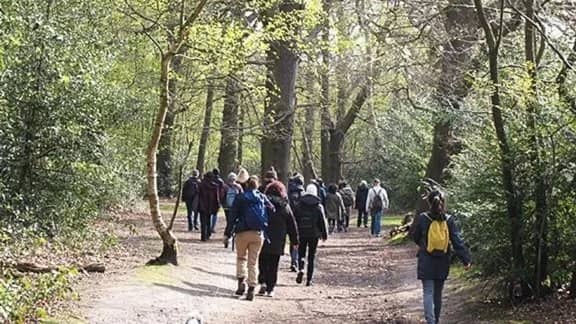 NEW GREEN £5 WALK: LLOYD PARK and ADDINGTON HILLS🌲🌳🌿🌱