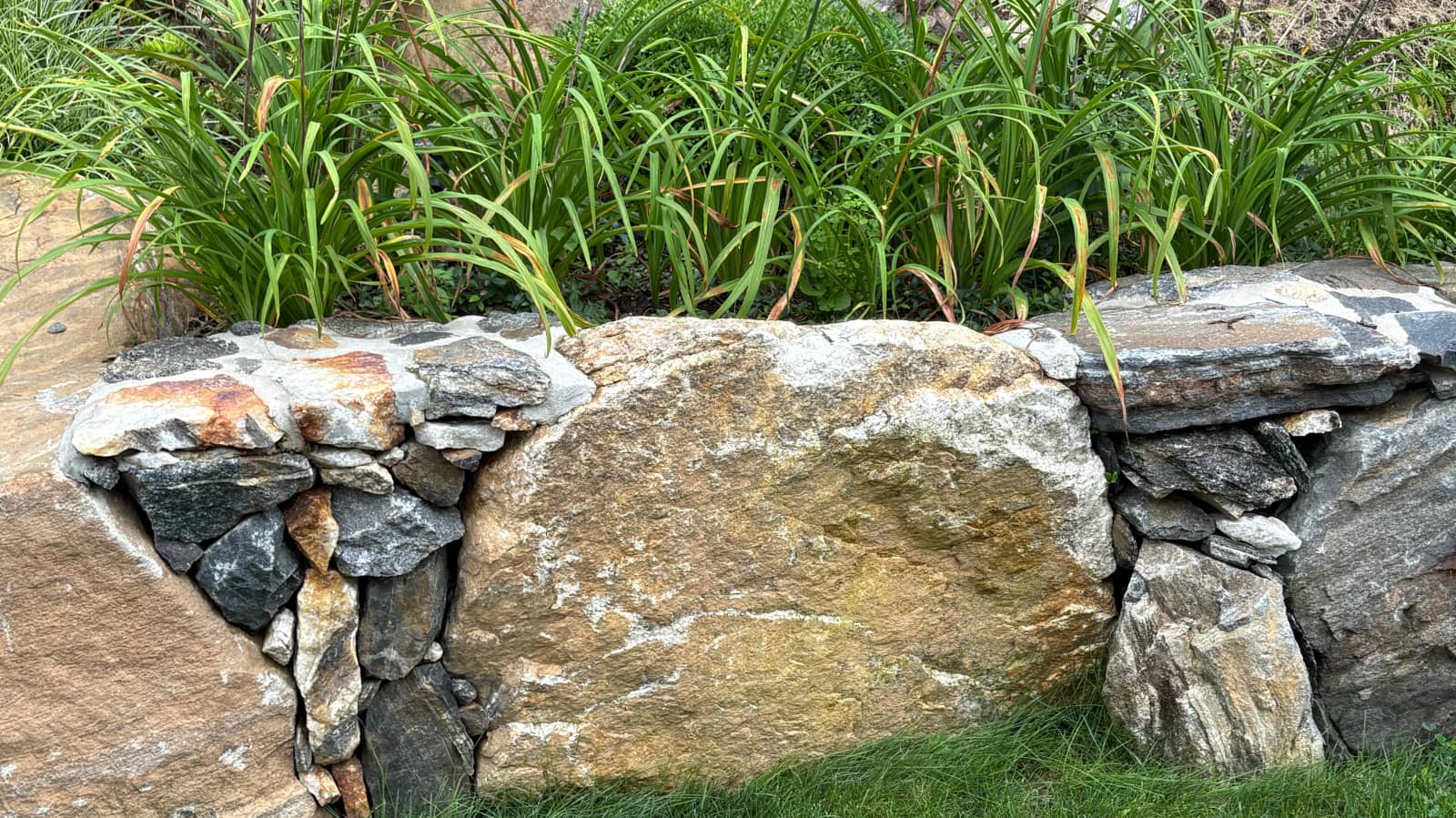 Sunday Morning Zen: Koan, Quest & Mindfulness Walk