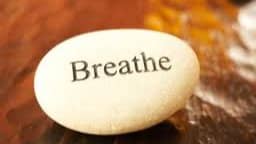 Heal. Transform. Evolve!