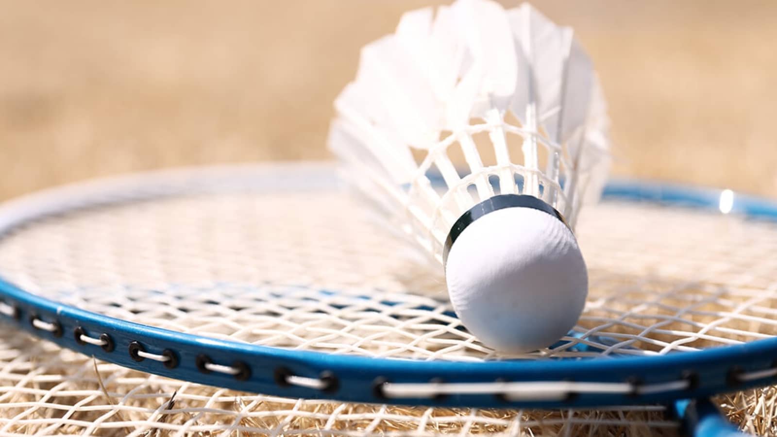 Badminton🏸8/11火祝19-21@立会川/鮫洲
