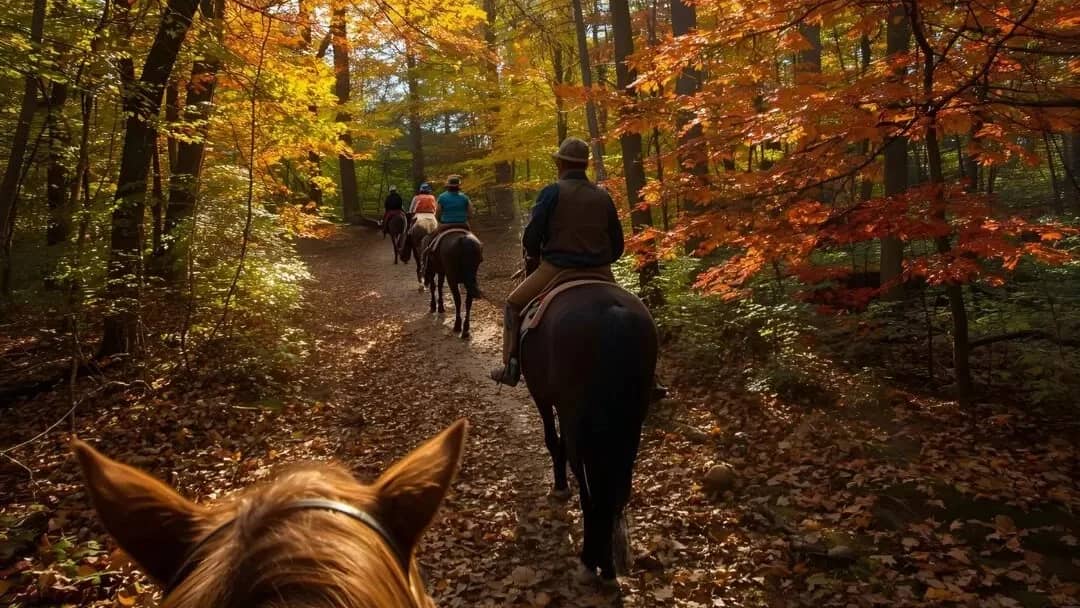 Canter & Canopy:  1 Hour Horseback Adventure🐎