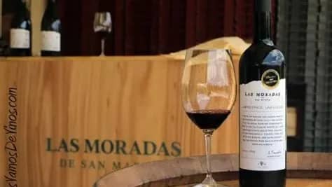 VISITA BODEGAS LAS MORADAS SAN MARTIN DE VALDEIGLESIAS + CATA 😀🍷