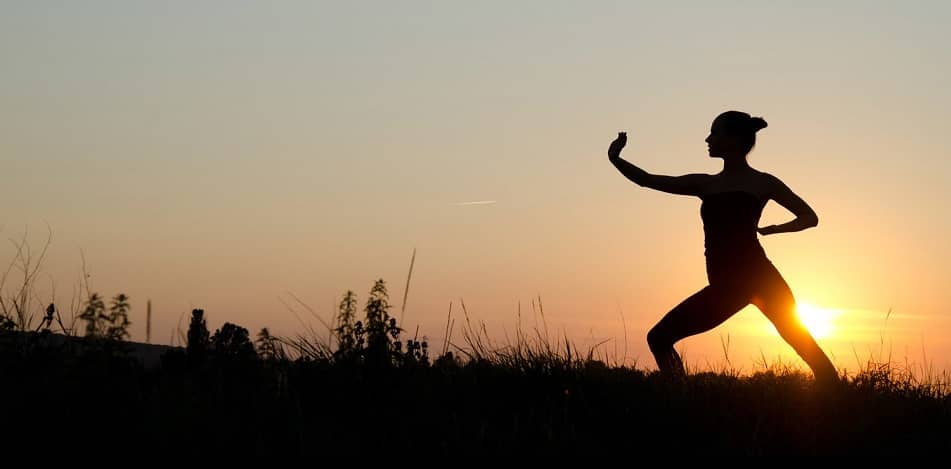 Activity: Wild Goose Qigong