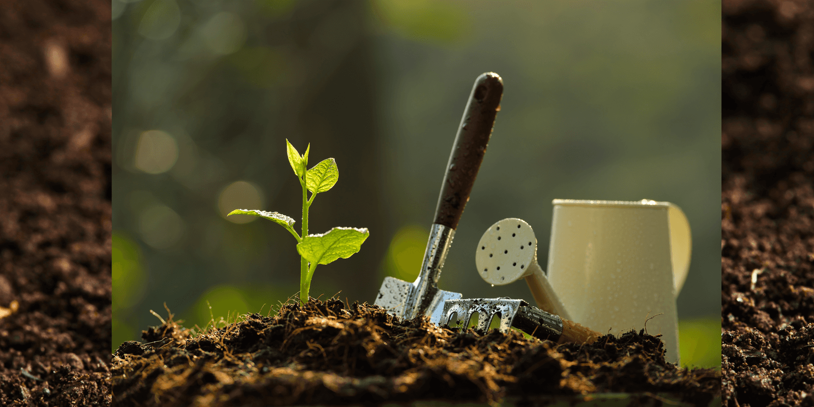 Social: Plant Swap