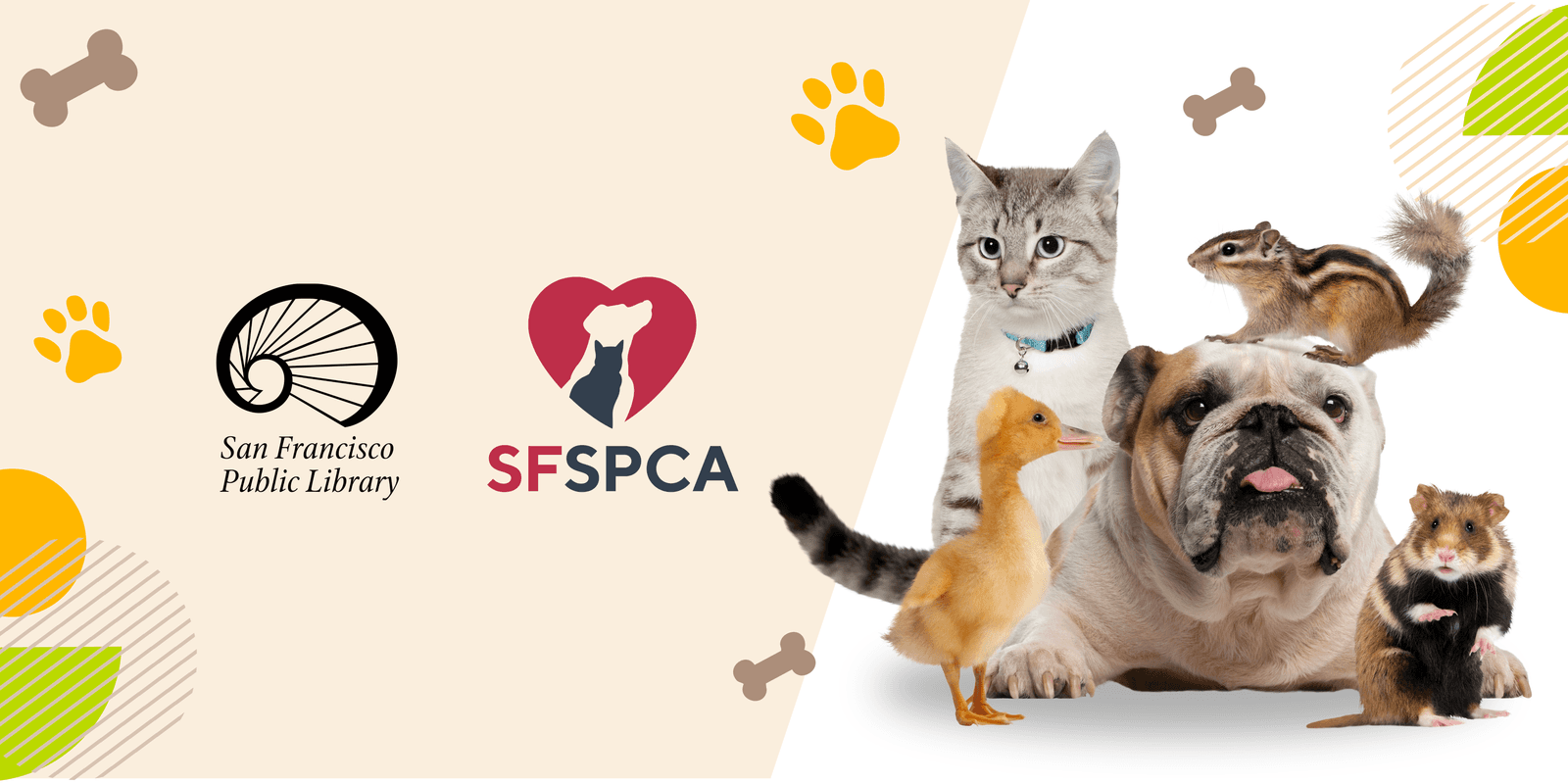 Activity: Therapy Pets at the Library