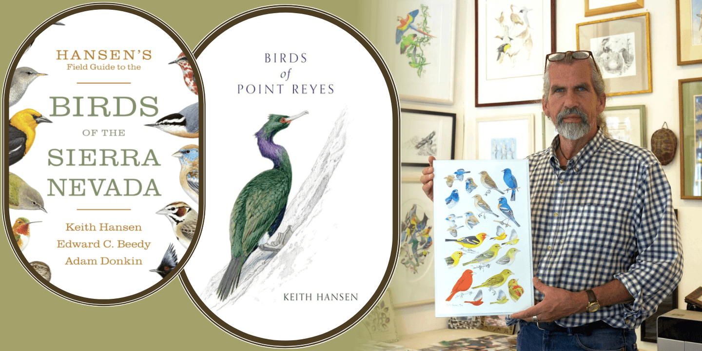 Author Keith Hansen: The Love, Joy and Art of Birding