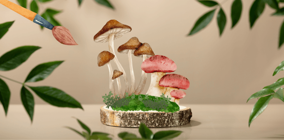 Activity: Mushroom Appreciation Craft