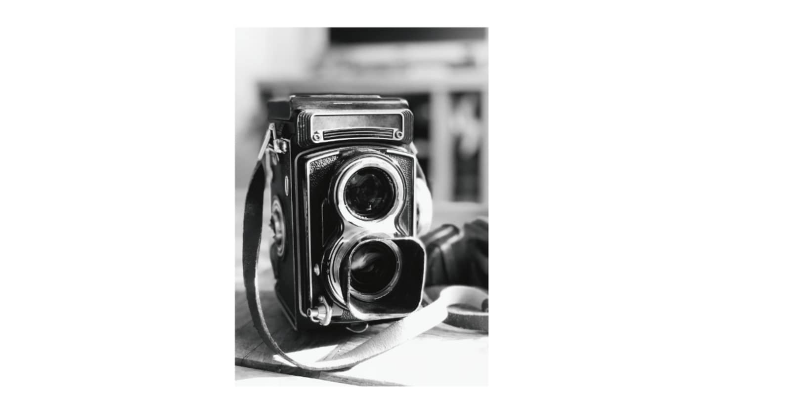 Workshop: Intro to Photography