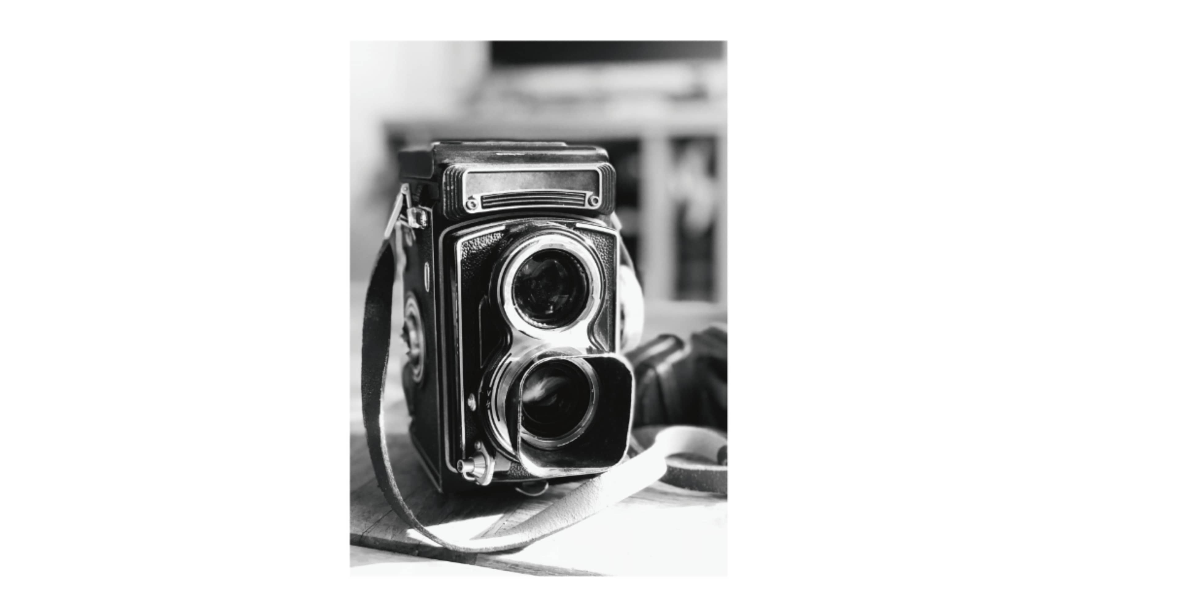 Workshop: Intro to Photography