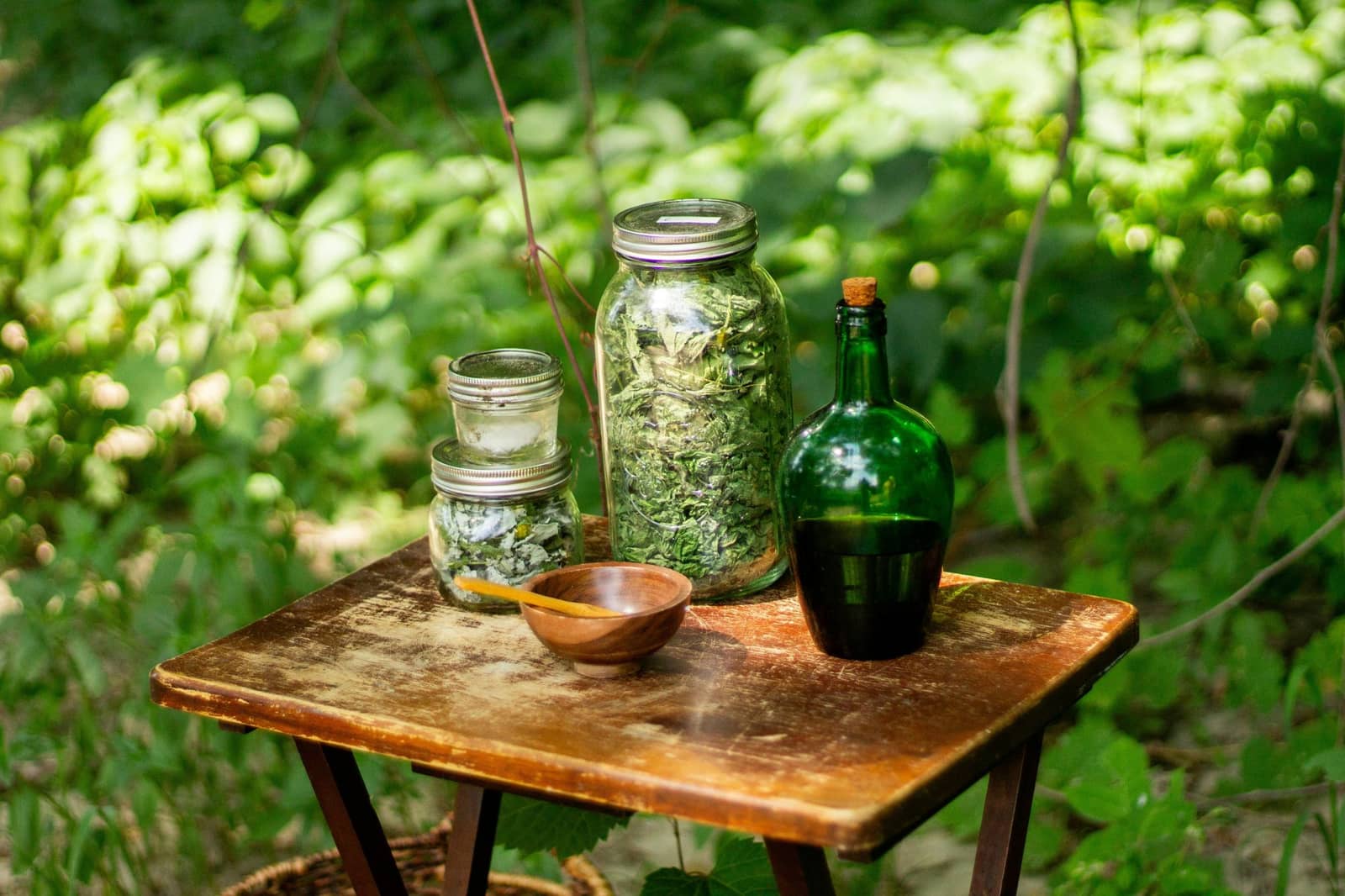 Workshop: Nurturing Your Body—Natural Strategies for Adult Health
