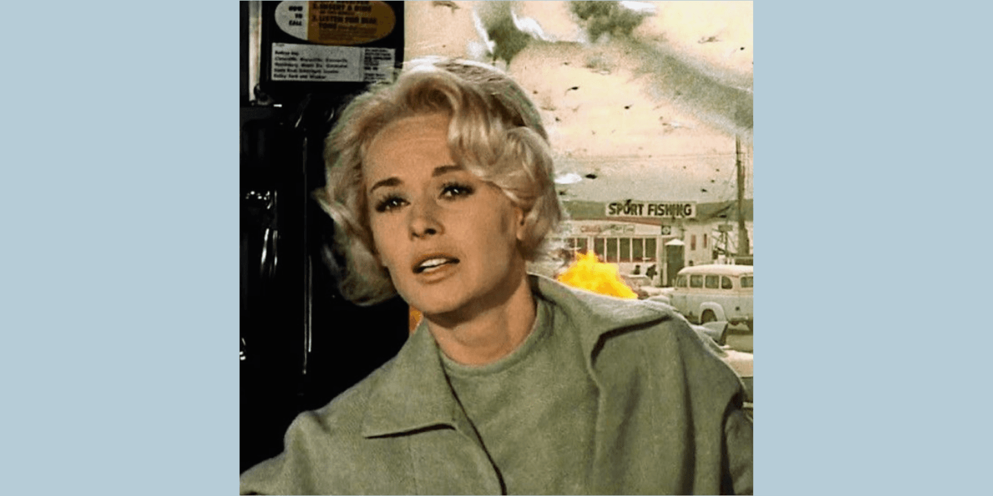 Film: The Birds