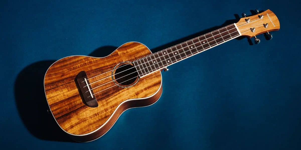 Workshop: Introduction to Ukulele