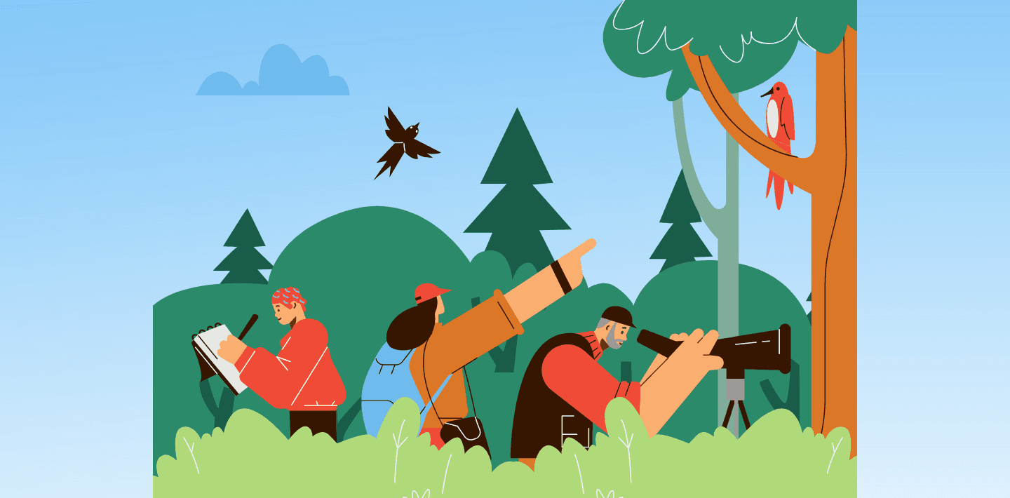 Activity: Birdwatching in the Portola