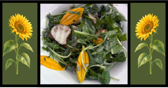 Workshop: Sunflower Salad