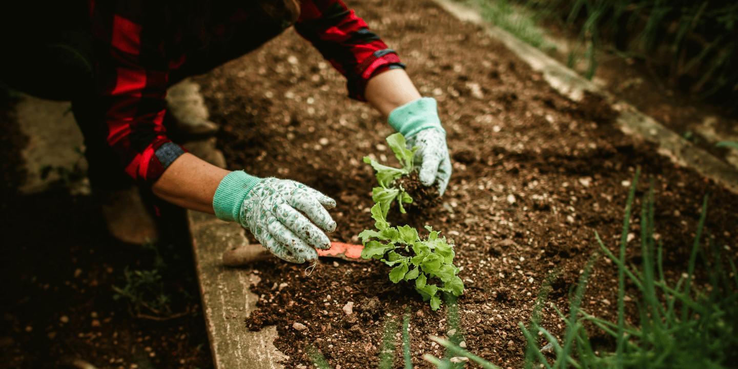 Workshop: From Garden to Green Bin — Climate Action at Home