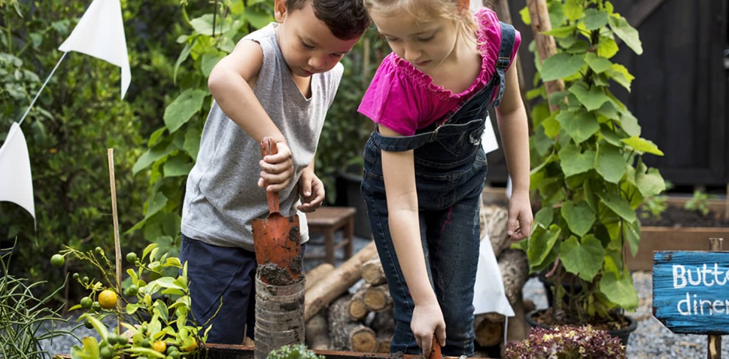 Social: Plant Swap