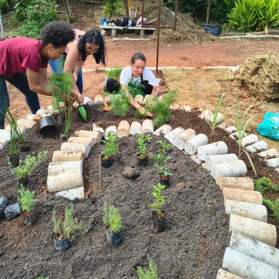 Oficina: conhecendo e plantando na horta + jogo da memória etnobotânico | Dia do Folclore Brasileiro