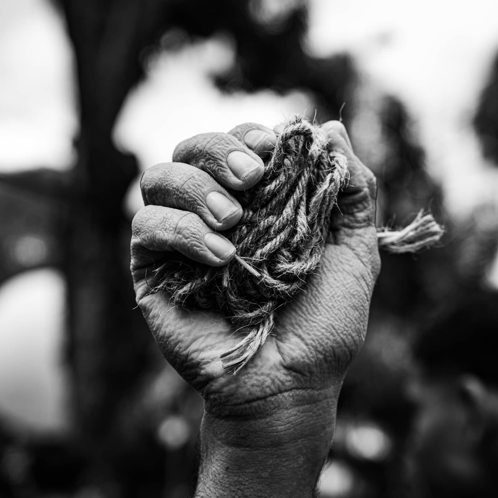 Círio de Nazaré. Do sagrado ao profano: uma extensão do Brasil | Nova Fotografia 2026