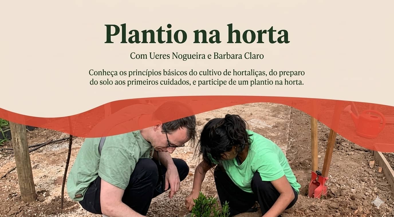 Plantio na horta