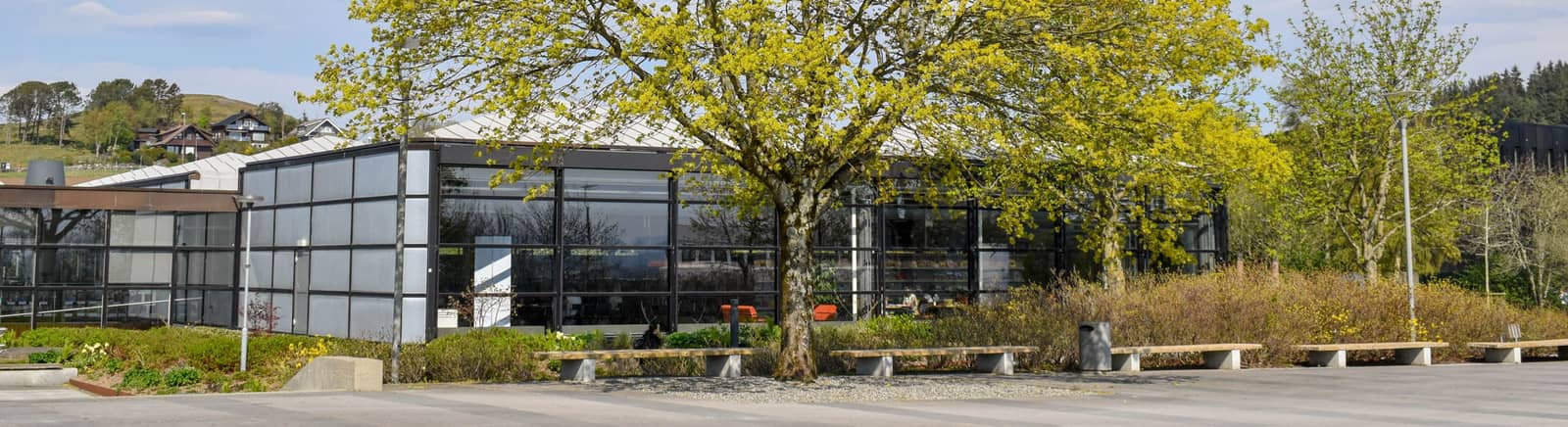 Oljeuniversitetet – hva nå?
