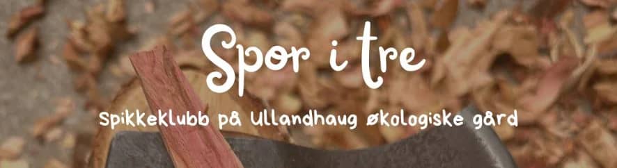 Spikkeklubb